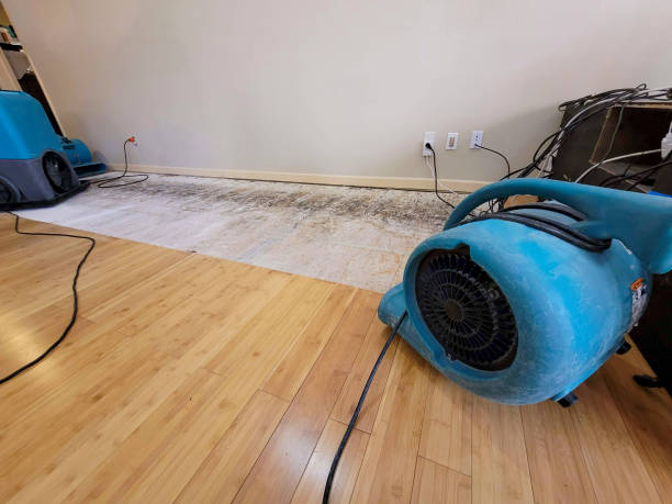 Professional Burst Pipe Water Damage technician working in Groveton, NH